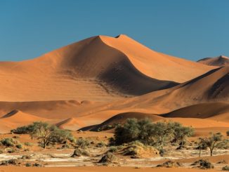 dunes de Namibie