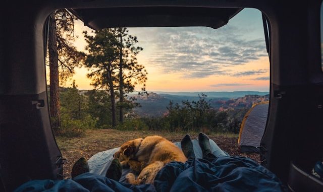 camping en forêt